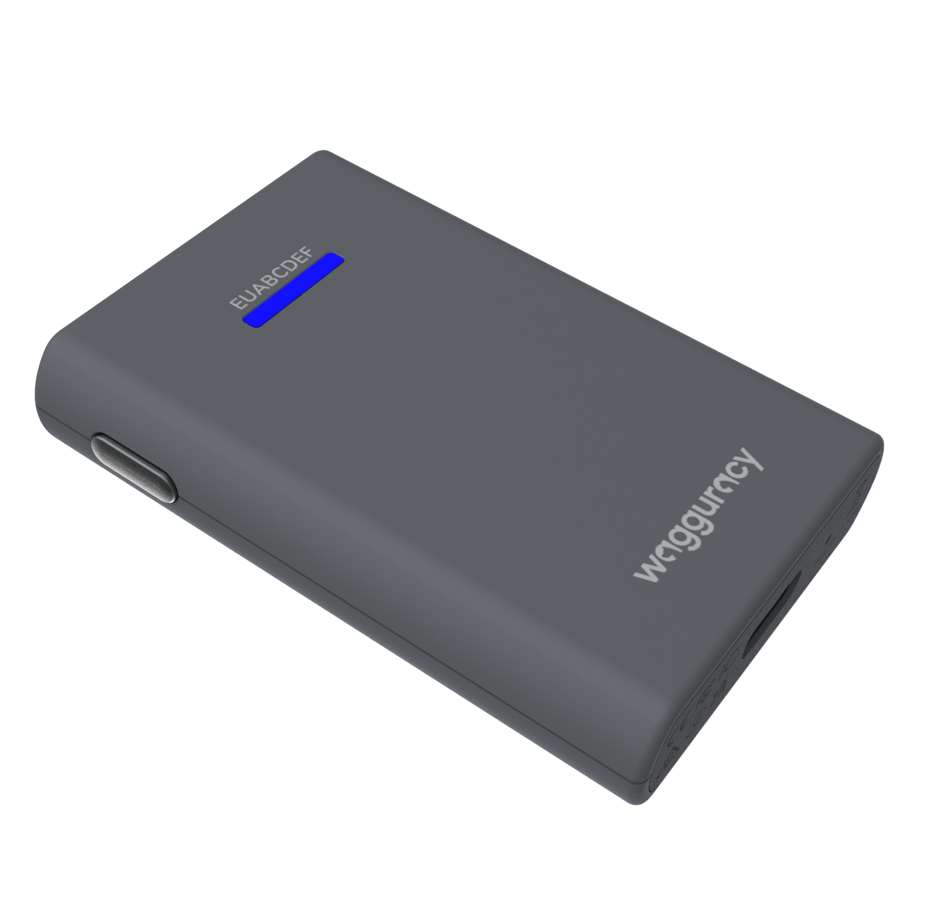 WAGGURACY PHAST 1 pet tracking device