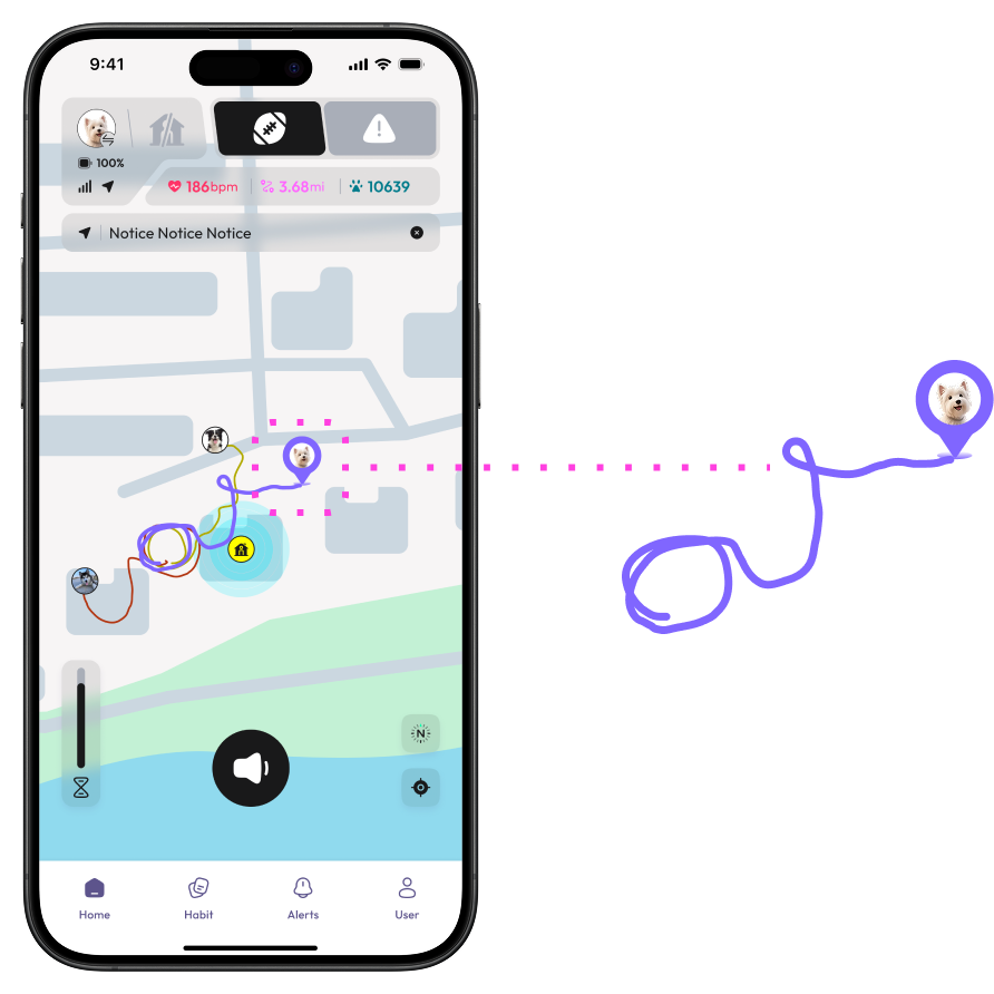 WAGGURACY app showing real-time pet location on a map